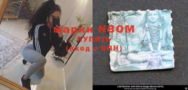 молекула духа Краснослободск