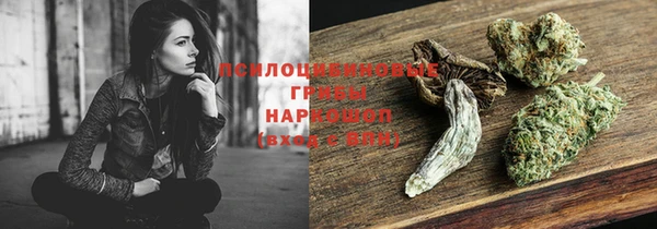 марки nbome Корсаков